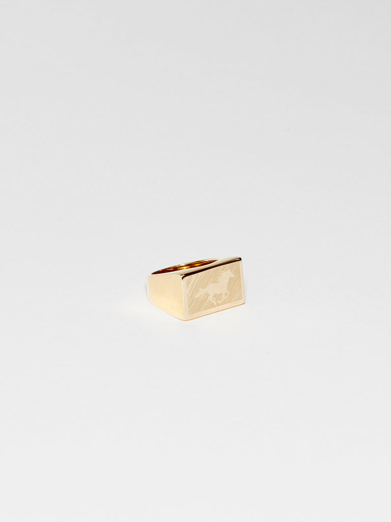 Flat lay of Horse Signet Ring charm Bagatiba