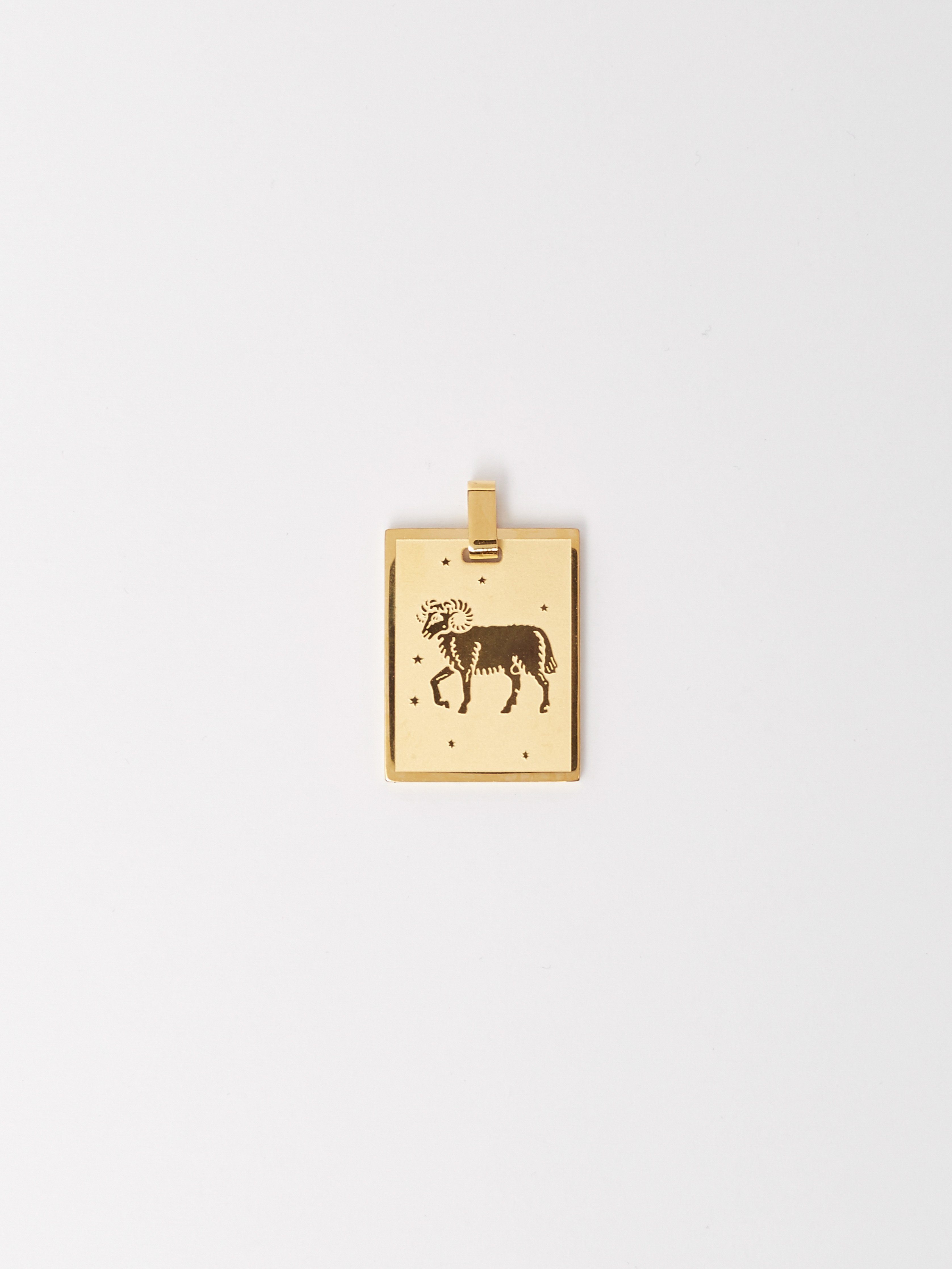 Full view flat lay of Aries Charm charm Bagatiba 