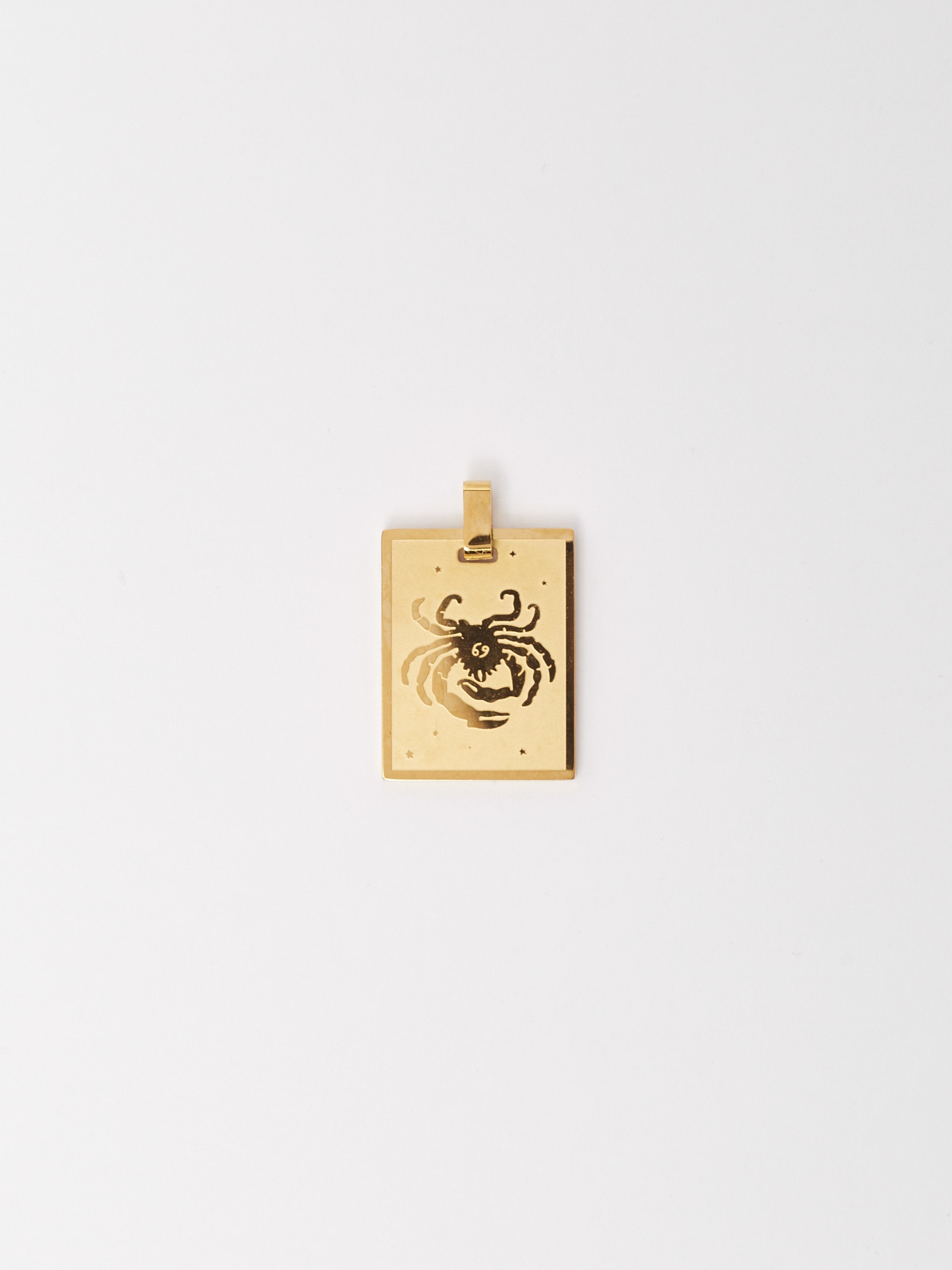 Full view flat lay of Cancer Charm charm Bagatiba 