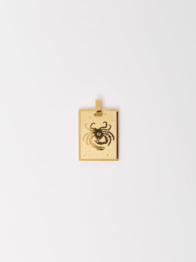 Cancer Charm