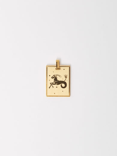Capricorn Charm