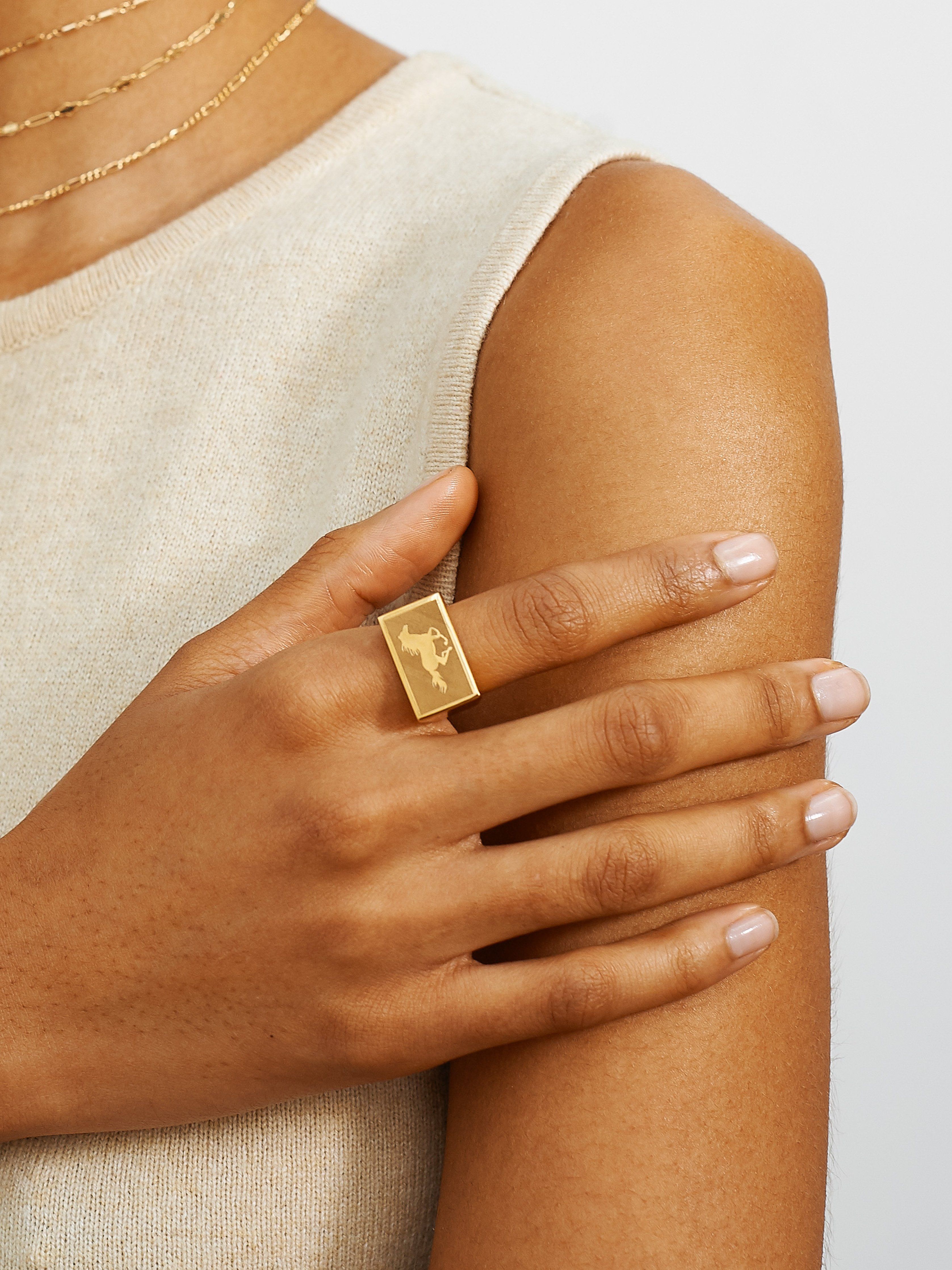 Cropped view model wearing Horse Signet Ring charm Bagatiba 
