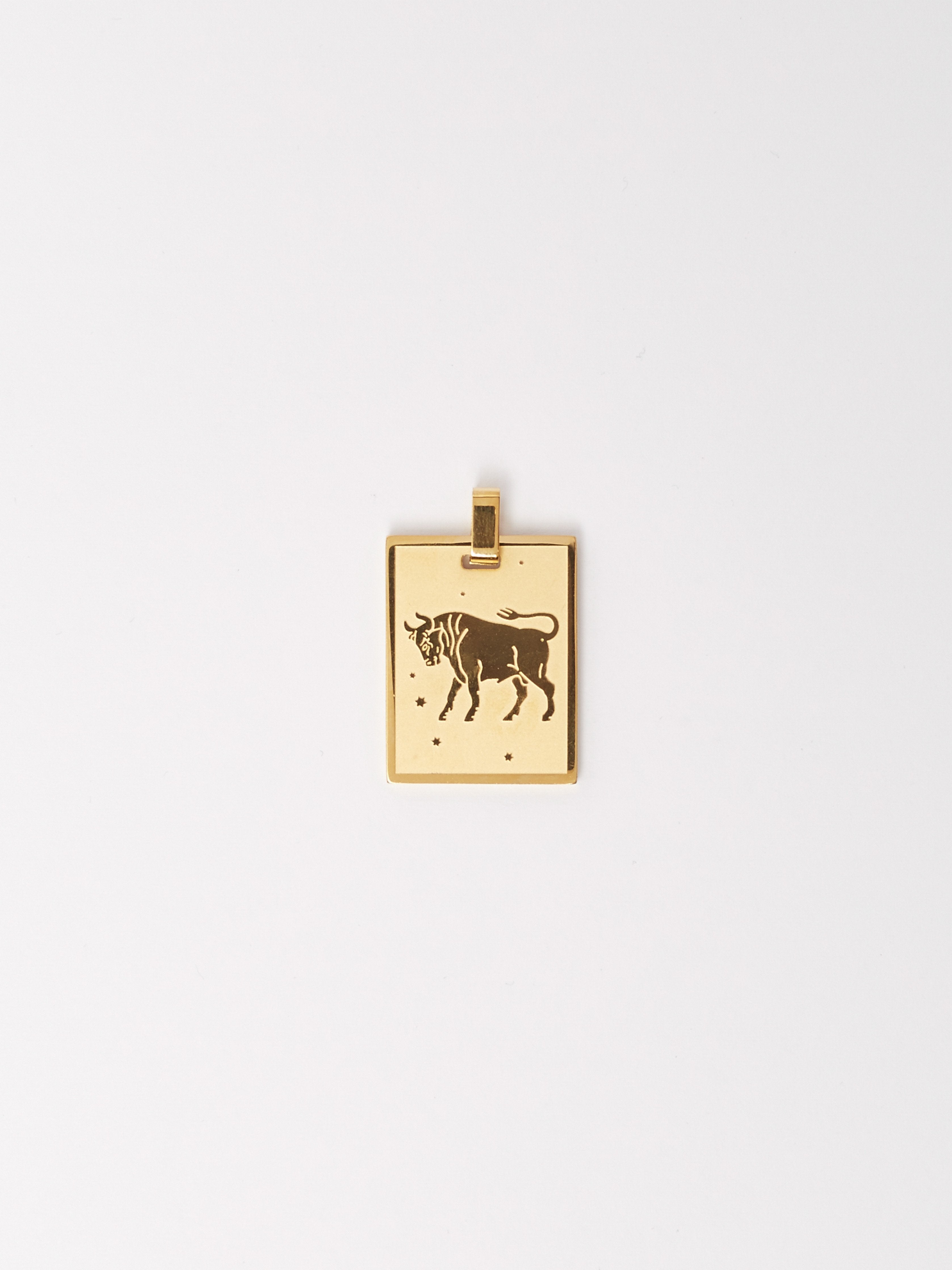 Flat lay of the Taurus Charm charm Bagatiba 